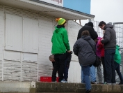 Chemnitzer FC - WERDER BREMEN II