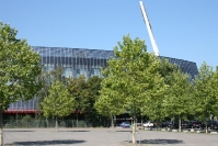 Paffis Trainingsimpressionen