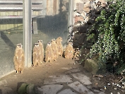 Unsere Kohlfahrt 2024