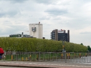 WERDER BREMEN - Hertha BSC (Fanclubreise)