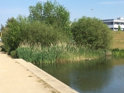 WERDER BREMEN - RB Leipzig (Fanclubreise)