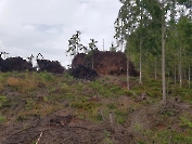 Werders Sommertrainingslager 2025 im Zillertal
